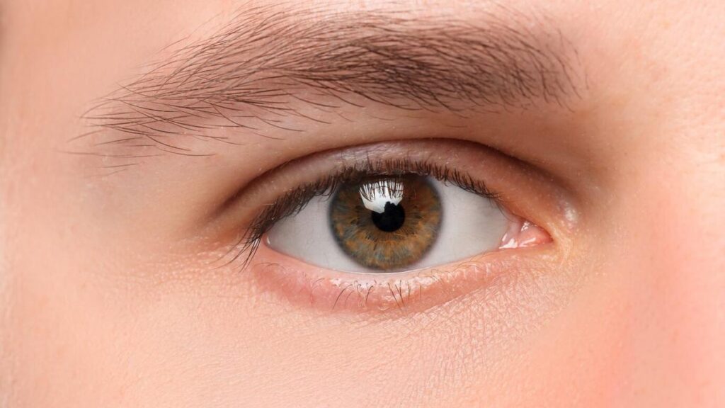 Cara agar Mata Tidak Minus, Panduan Lengkap Menjaga Kesehatan Mata