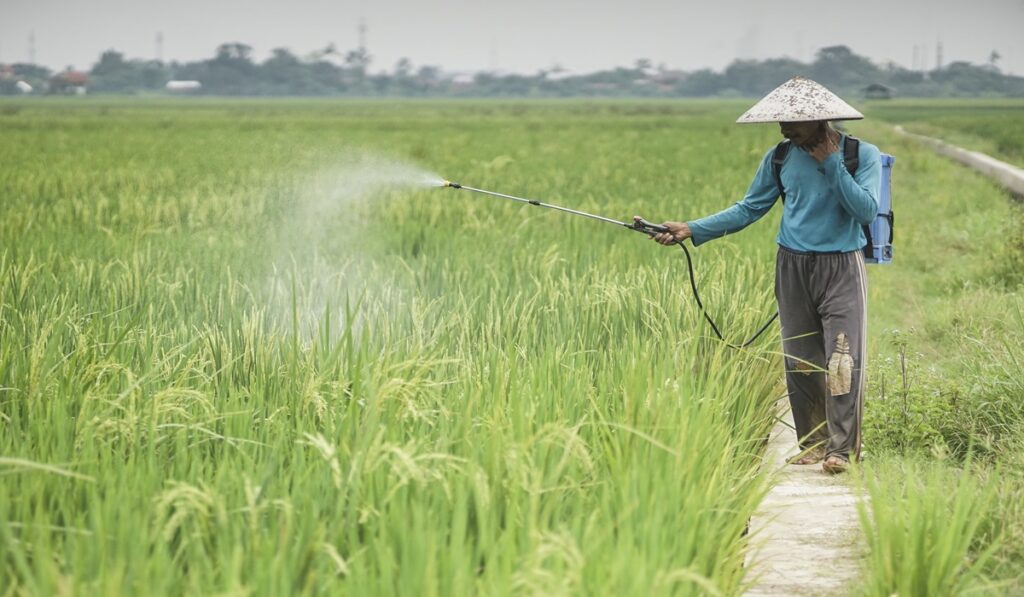 Ini Solusi Berantas Penyakit Tanaman dengan Bakteri, Terbukti Ramah Lingkungan