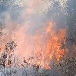 150 Titik Panas Terpantau di Provinsi Babel