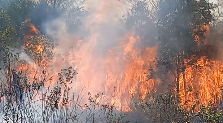 150 Titik Panas Terpantau di Provinsi Babel