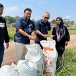 Musim Panen Gadu, Bulog Cianjur Terus Serap Gabah Petani