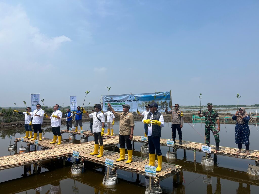 Rehabilitasi Lahan Mangrove Diharapkan Perkuat Ekosistem Pesisir