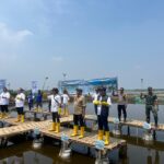 Rehabilitasi Lahan Mangrove Diharapkan Perkuat Ekosistem Pesisir