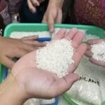 DPR Soroti Temuan Puluhan Ribu Ton Beras Impor Menguning di Gudang Bulog