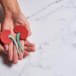 Memahami Ginjal, Fungsi, Cara Kerja, dan Cara Menjaganya Tetap Sehat