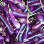 Panduan Menanam Terong Ungu, dari Bibit hingga Panen Berulang