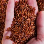 11 Manfaat Beras Merah untuk Kesehatan, Bisa Mengontrol Kadar Gula