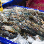 Asosiasi Perudangan Sebut Kontaminasi Radioaktif Hal yang Luar Biasa