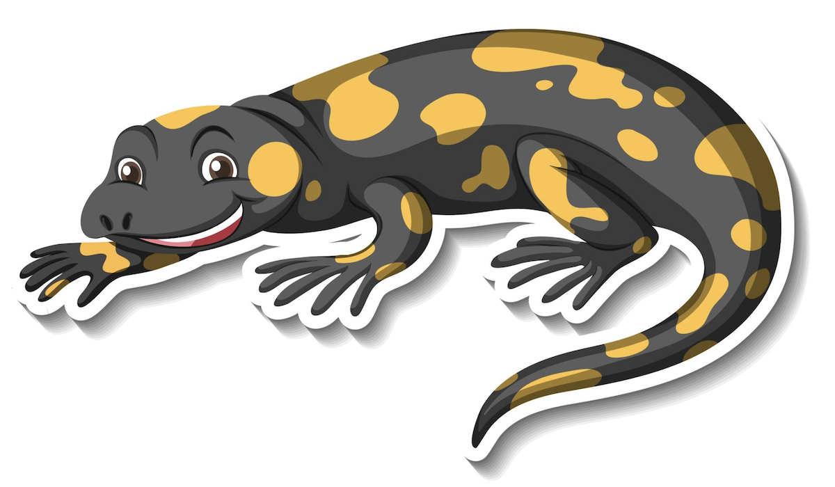 Wah Kejatuhan Cicak Menurut Islam Mitos atau Fakta Syariah