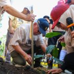Liberika Sepaku, Emas Hijau Baru dari Ibu Kota Nusantara