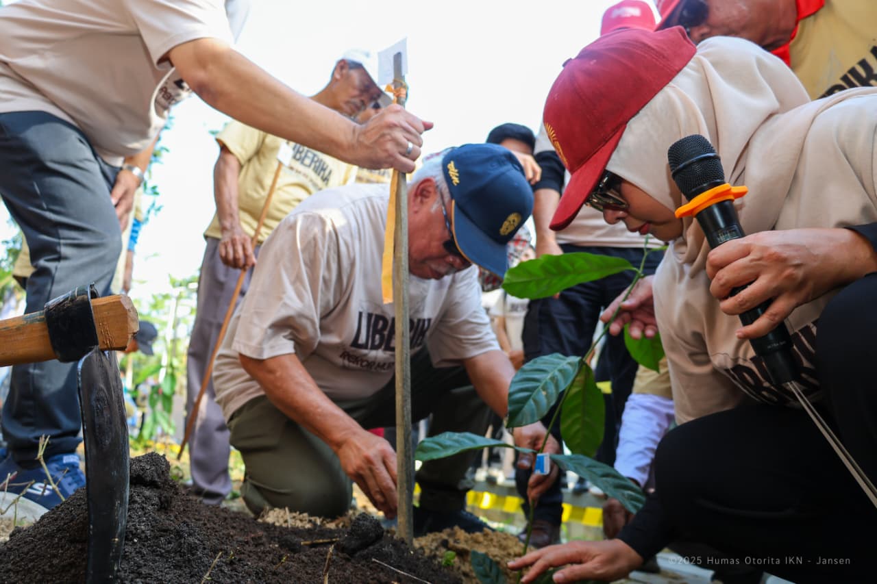 Liberika Sepaku, Emas Hijau Baru dari Ibu Kota Nusantara