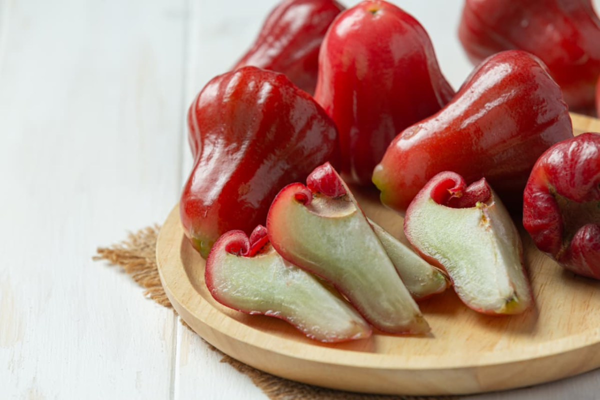 Jambu, Buah Tropis yang Tetap Subur meski Terik Matahari Menyengat