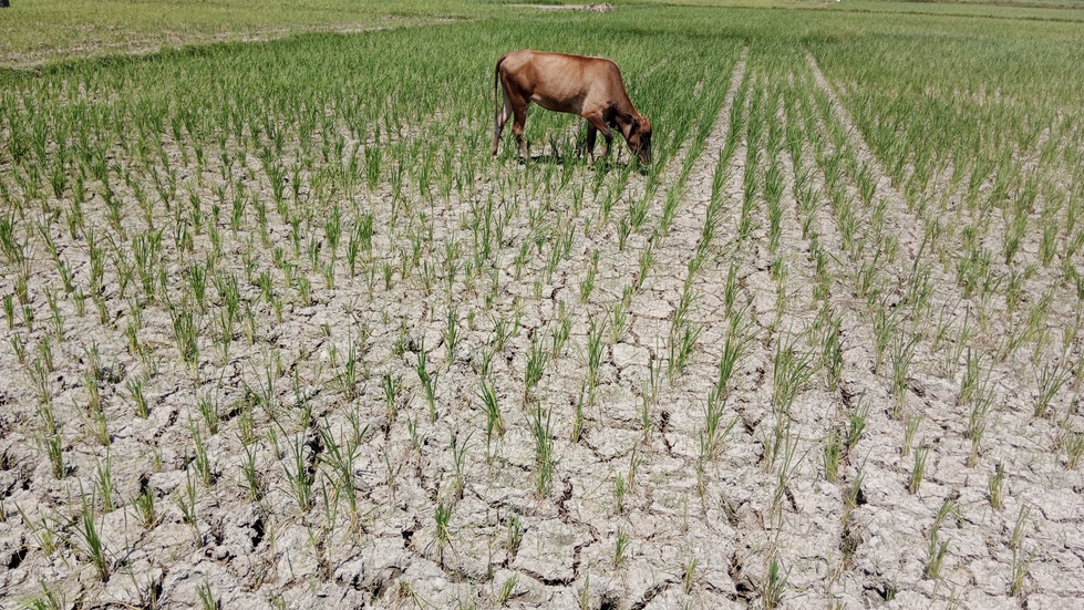 BMKG Ungkap Penyebab Suhu Panas Landa Sejumlah Wilayah Indonesia