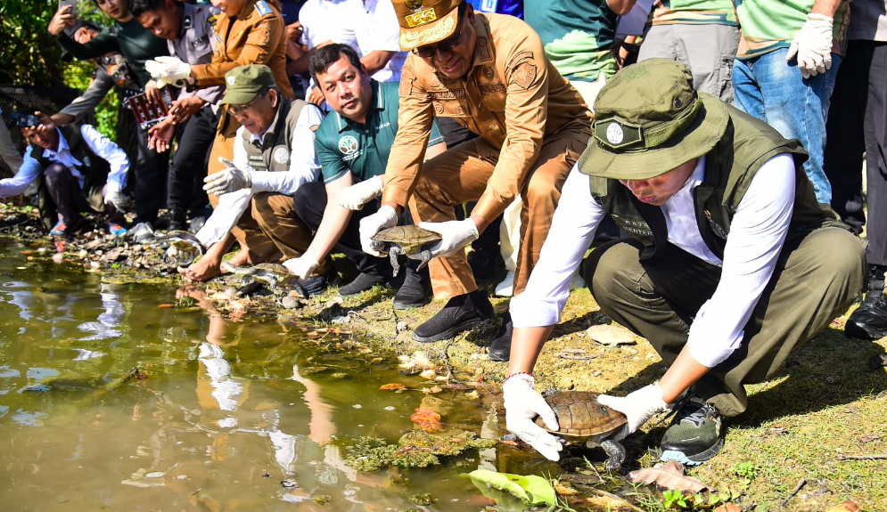 Satwa Endemik Terlangka di Dunia, 20 Kura-Kura Leher Ular Langka Dilepasliarkan
