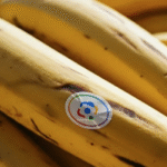 Google Nano Banana Hadir di NotebookLM, Search, dan Photos