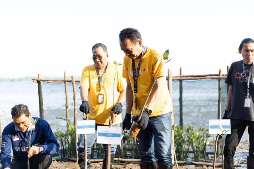 Komitmen Berkelanjutan, Linknet Tanam 7.500 Pohon Mangrove di Pulau Dompak Kepri
