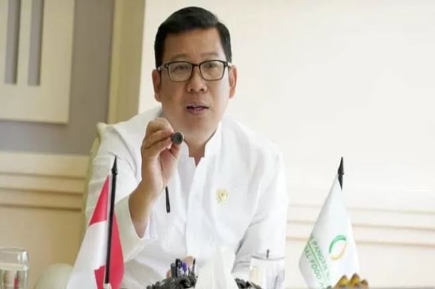 Profil Arief Prasetyo Adi, Kepala Bapanas yang Dicopot Presiden Prabowo