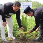 Ansor Panen Padi Organik dan Tanam 3.000 Pohon Kelapa di Blora