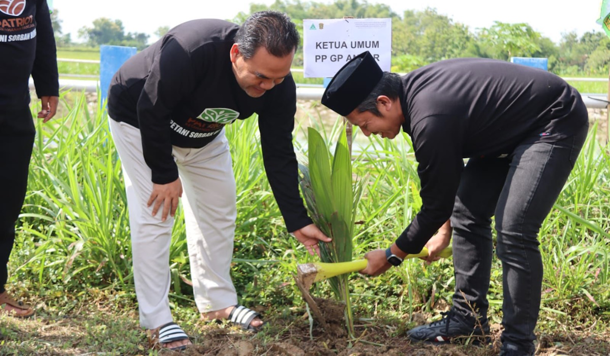 Ansor Panen Padi Organik dan Tanam 3.000 Pohon Kelapa di Blora