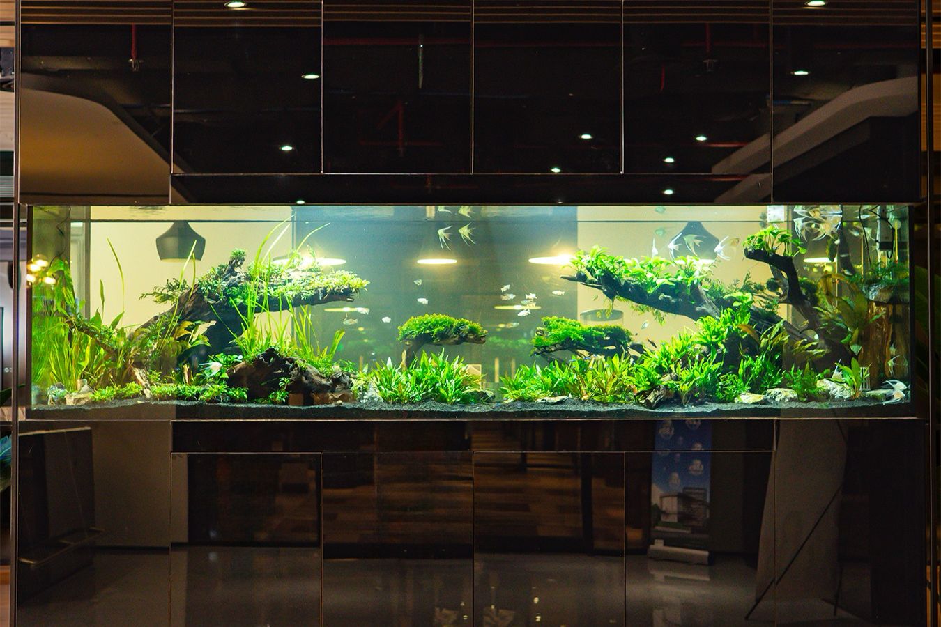 Akuarium Mulai Jadi Strategi Desain Ruang Kerja di Jakarta