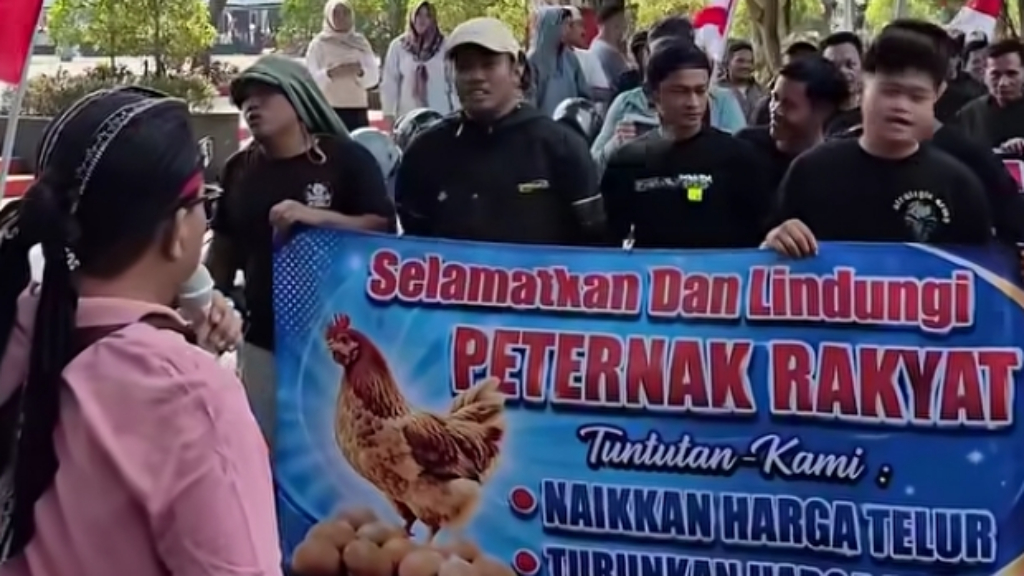 Harga Telur Anjlok, Pakan Meroket dan Terancam Gulung Tikar, Peternak Sulawesi Selatan Demo
