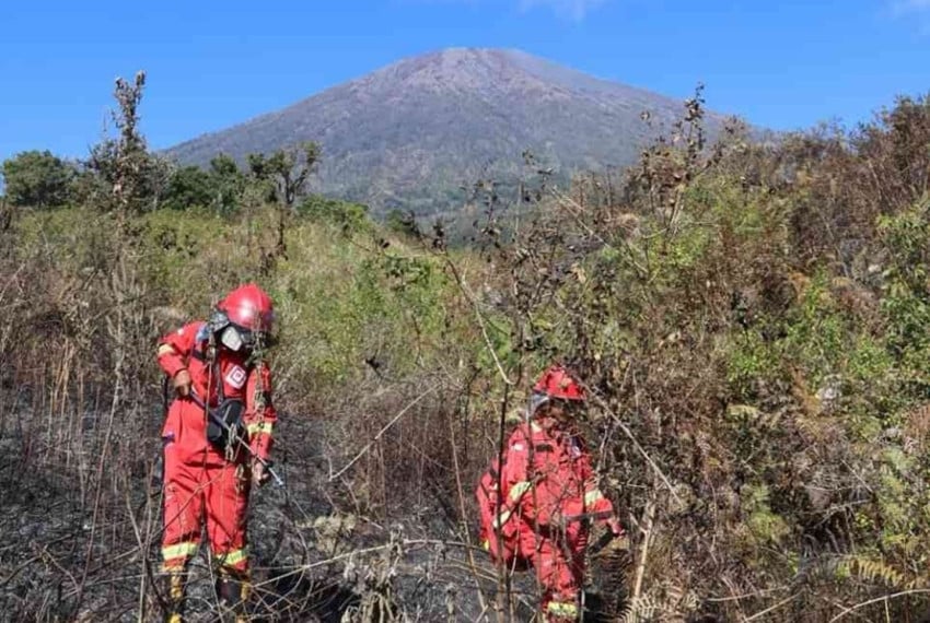 Respons Cepat Kemenhut, Kebakaran di TN Gunung Rinjani Berhasil Dipadamkan
